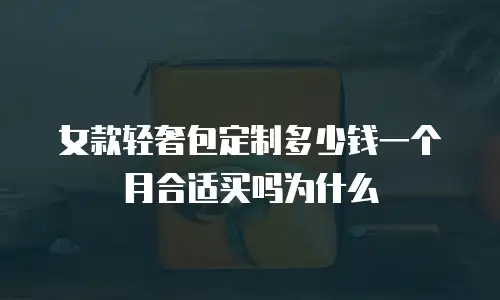 女款轻奢包定制多少钱一个月合适买吗为什么