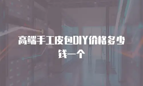 高端手工皮包DIY价格多少钱一个