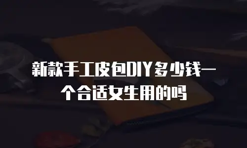 新款手工皮包DIY多少钱一个合适女生用的吗
