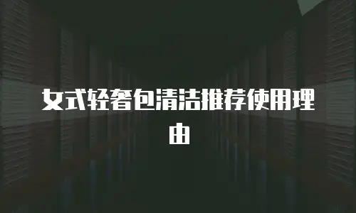 女式轻奢包清洁推荐使用理由
