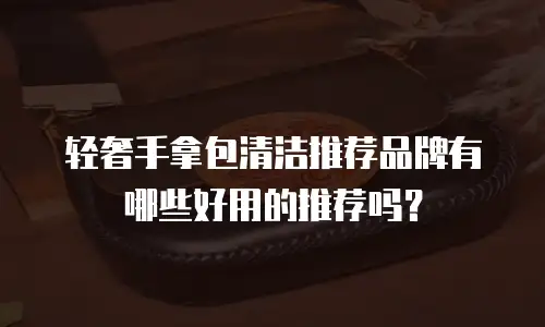 轻奢手拿包清洁推荐品牌有哪些好用的推荐吗？