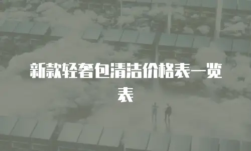 新款轻奢包清洁价格表一览表