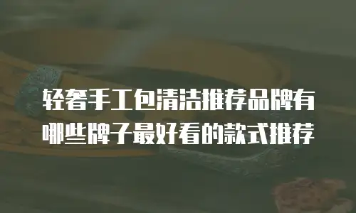 轻奢手工包清洁推荐品牌有哪些牌子最好看的款式推荐