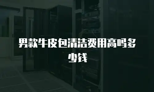 男款牛皮包清洁费用高吗多少钱