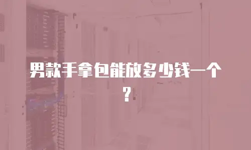男款手拿包能放多少钱一个？