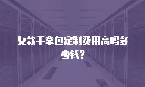 女款手拿包定制费用高吗多少钱？