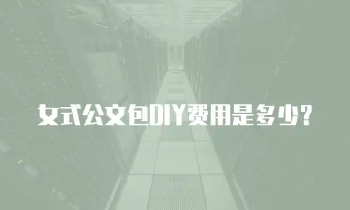 女式公文包DIY费用是多少？