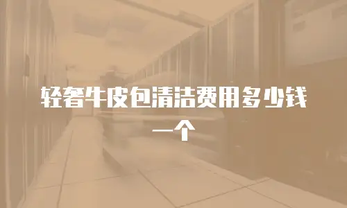 轻奢牛皮包清洁费用多少钱一个
