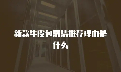 新款牛皮包清洁推荐理由是什么