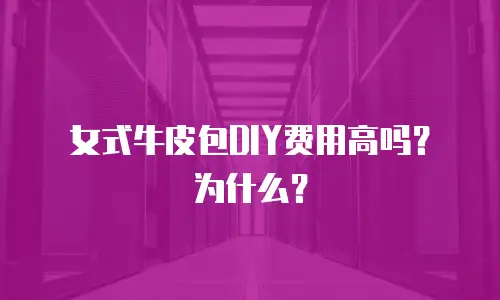 女式牛皮包DIY费用高吗？为什么？