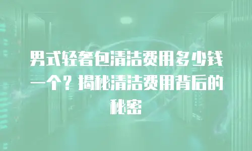 男式轻奢包清洁费用多少钱一个？揭秘清洁费用背后的秘密
