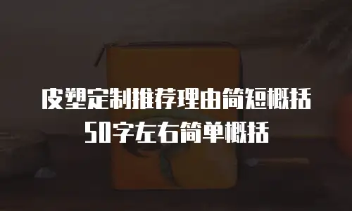皮塑定制推荐理由简短概括50字左右简单概括