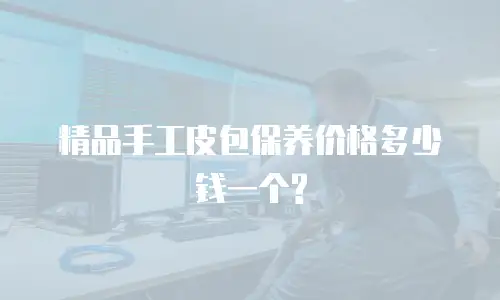 精品手工皮包保养价格多少钱一个?