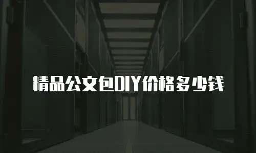 精品公文包DIY价格多少钱