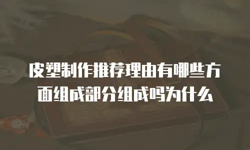 皮塑制作推荐理由有哪些方面组成部分组成吗为什么