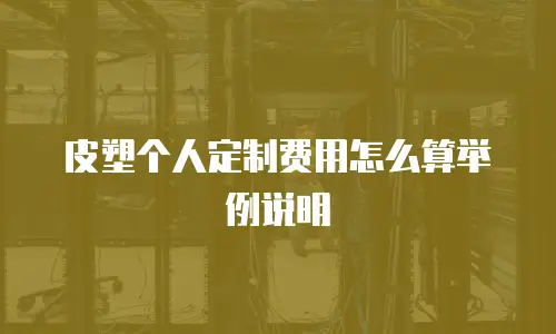皮塑个人定制费用怎么算举例说明
