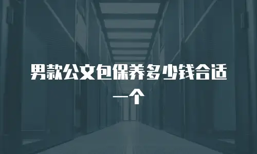 男款公文包保养多少钱合适一个