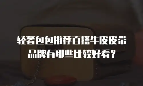 轻奢包包推荐百搭牛皮皮带品牌有哪些比较好看？