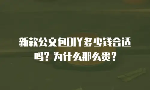 新款公文包DIY多少钱合适吗？为什么那么贵？