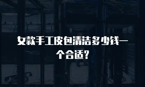 女款手工皮包清洁多少钱一个合适？