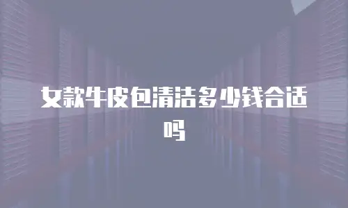 女款牛皮包清洁多少钱合适吗