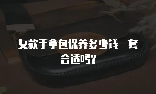 女款手拿包保养多少钱一套合适吗？