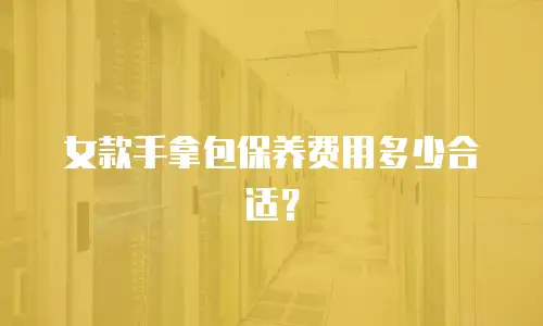 女款手拿包保养费用多少合适？