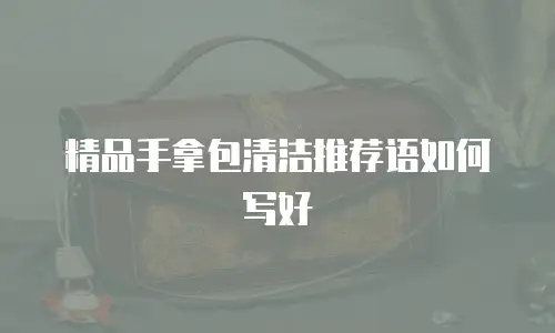 精品手拿包清洁推荐语如何写好