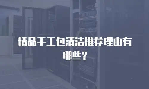 精品手工包清洁推荐理由有哪些？