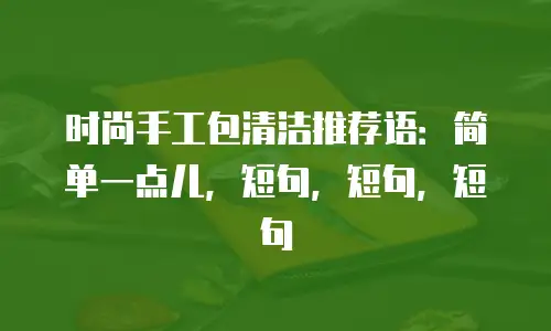 时尚手工包清洁推荐语：简单一点儿，短句，短句，短句