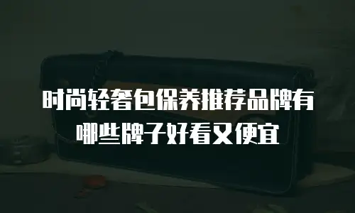时尚轻奢包保养推荐品牌有哪些牌子好看又便宜