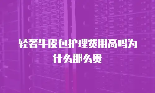轻奢牛皮包护理费用高吗为什么那么贵