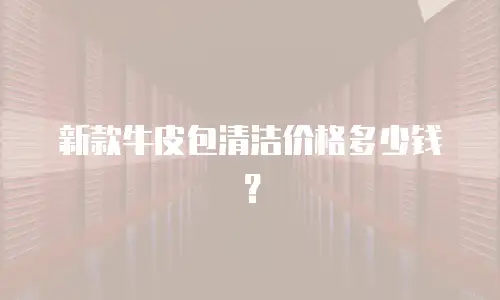 新款牛皮包清洁价格多少钱？