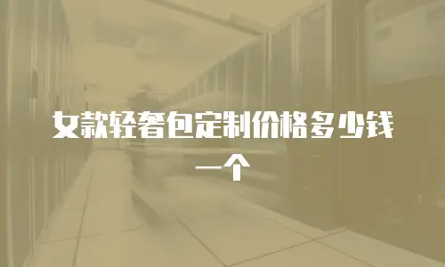 女款轻奢包定制价格多少钱一个