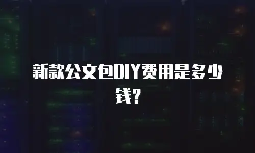 新款公文包DIY费用是多少钱？
