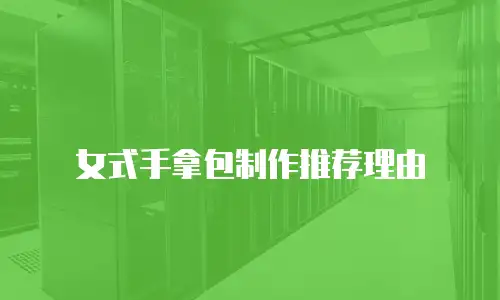 女式手拿包制作推荐理由