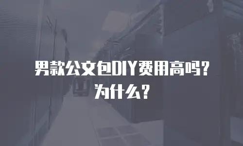 男款公文包DIY费用高吗？为什么？