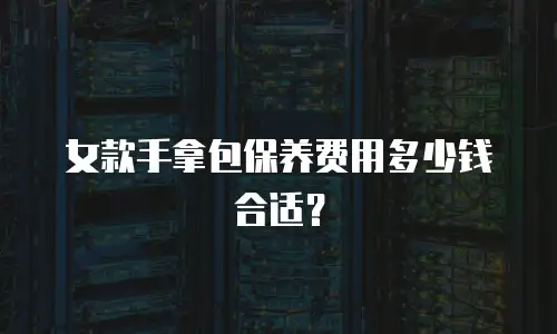 女款手拿包保养费用多少钱合适？