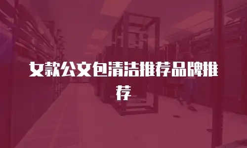 女款公文包清洁推荐品牌推荐