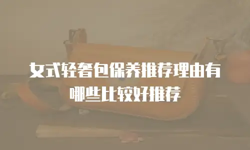 女式轻奢包保养推荐理由有哪些比较好推荐