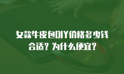 女款牛皮包DIY价格多少钱合适？为什么便宜？