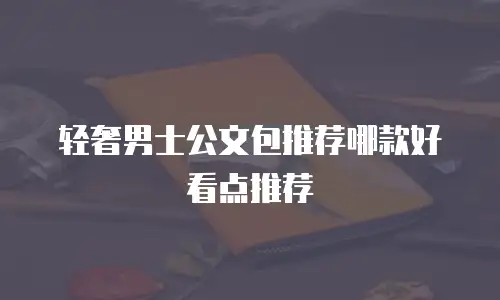 轻奢男士公文包推荐哪款好看点推荐