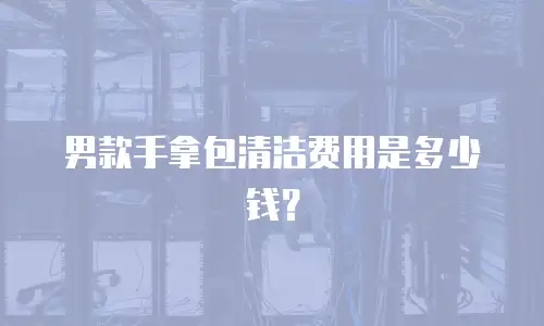 男款手拿包清洁费用是多少钱？