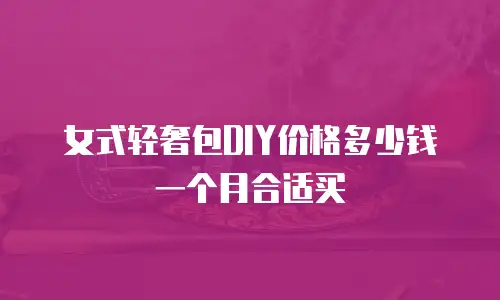 女式轻奢包DIY价格多少钱一个月合适买
