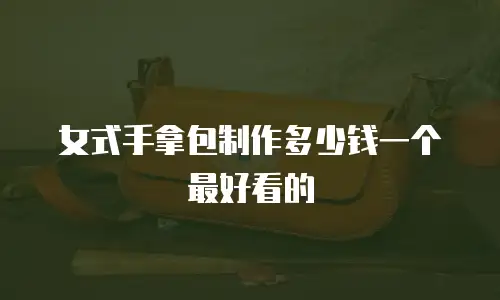 女式手拿包制作多少钱一个最好看的