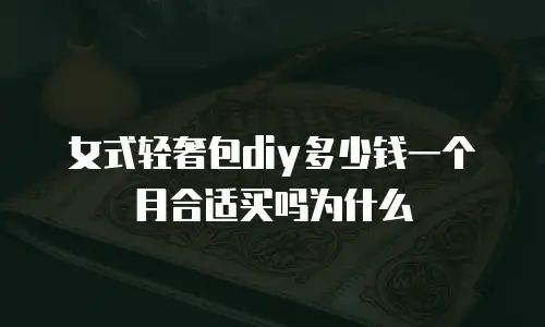 女式轻奢包diy多少钱一个月合适买吗为什么
