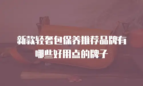 新款轻奢包保养推荐品牌有哪些好用点的牌子
