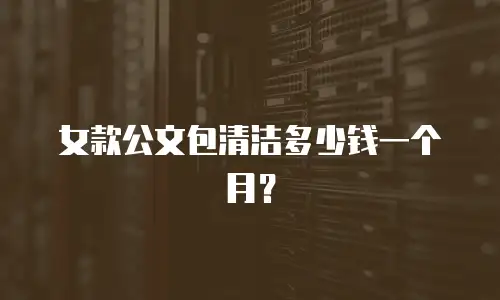女款公文包清洁多少钱一个月？