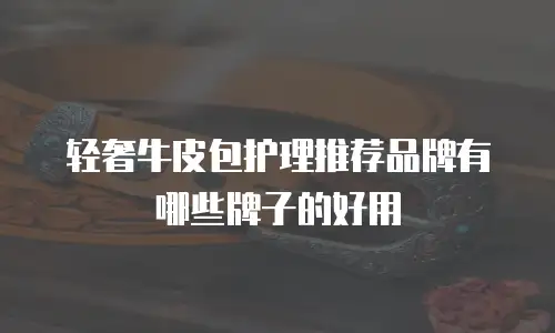 轻奢牛皮包护理推荐品牌有哪些牌子的好用