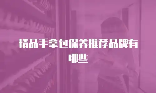精品手拿包保养推荐品牌有哪些
